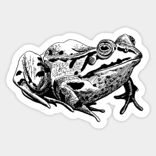 toad Sticker